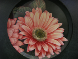 Coral Gerbera Daisy