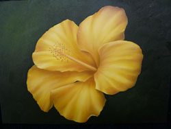 Golden Hibiscus