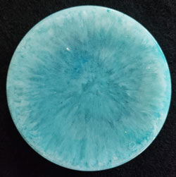 Resin Round Coaster #20