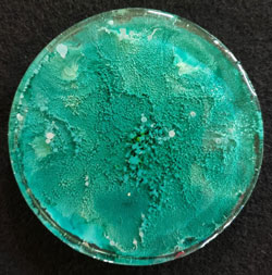 Resin Round Coaster #22