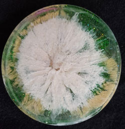 Resin Round Coaster #23