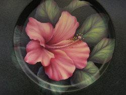 Sturbridge Hibiscus