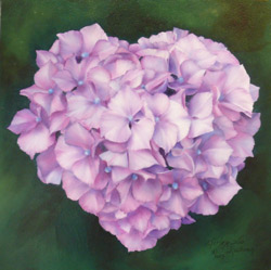 Sweetheart Hydrangea